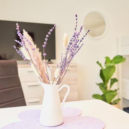 Landhotel Sonnenhof Ossig المظهر الخارجي الصورة